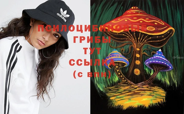 меф Горняк