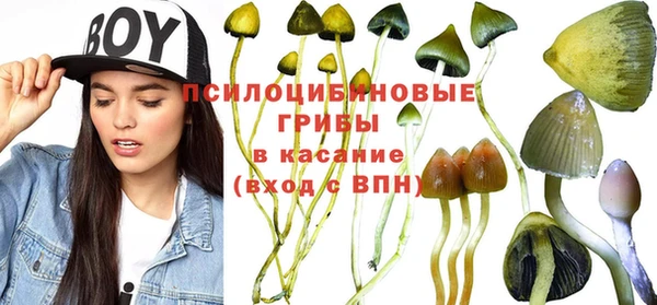 мескалин Горно-Алтайск