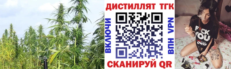 купить закладку  blacksprut зеркало  ТГК THC oil  Салаир 